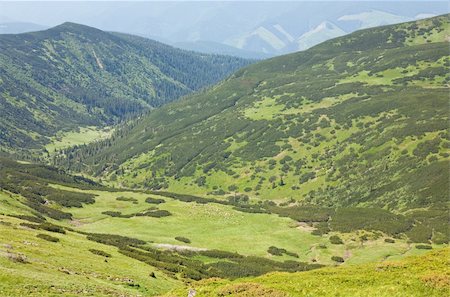 simsearch:400-05719580,k - Herd of sheep on green summer mountain pasture (Carpathian Mountains, Ukraine) Photographie de stock - Aubaine LD & Abonnement, Code: 400-04656171