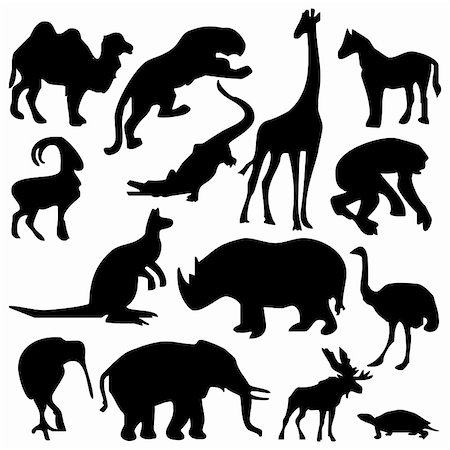 simsearch:400-04280168,k - collection of different animals silhouettes Stock Photo - Budget Royalty-Free & Subscription, Code: 400-04656898