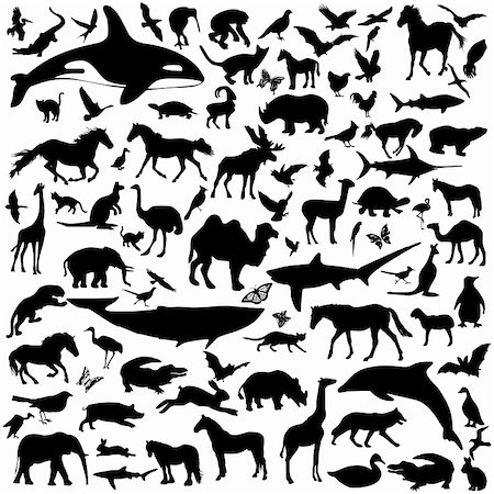 simsearch:400-04280168,k - Big collection of different animals silhouettes Stock Photo - Budget Royalty-Free & Subscription, Code: 400-04656901