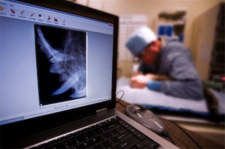 Veterinarian performing dental surgery on small cat with X-Ray in foreground Stock Photo - Budget Royalty-Free & Subscription, Code: 400-04658821