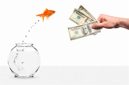 decoy - goldfish jumping out of fishbowl lured by money isolated on white Stock Photo - Budget Royalty-Free & Subscription, Code: 400-04651441