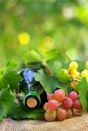 simsearch:400-04226436,k - Bottle of wine and grappes. Stock Photo - Budget Royalty-Free & Subscription, Code: 400-04651540