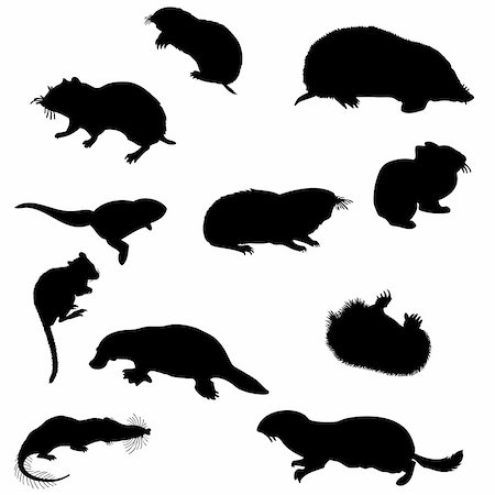 simsearch:400-04394183,k - Collection of beaver and other rodents silhouettes. Vector illustration. Stock Photo - Budget Royalty-Free & Subscription, Code: 400-04653334