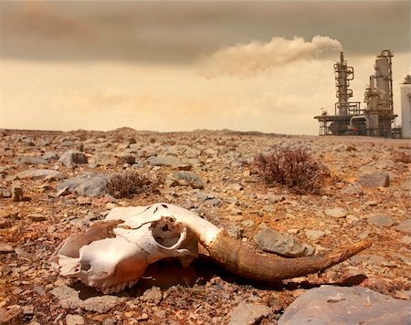 future of the desert - pollution concept photo Stock Photo - Budget Royalty-Free & Subscription, Code: 400-04664634