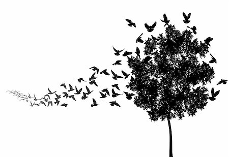 flying bird outline pic - Vector silhouettes of a pigeon flock flying to a tree roost Stock Photo - Budget Royalty-Free & Subscription, Code: 400-04665190