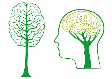 think ecological, green brain tree, vector Stock Photo - Budget Royalty-Free & Subscription, Code: 400-04668002