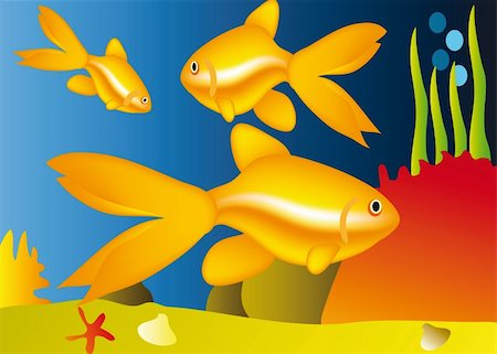 simsearch:400-05916696,k - life under water - nice aquarium with golden fish Stock Photo - Budget Royalty-Free & Subscription, Code: 400-04669367