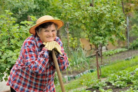 Senior woman gardening Stock Photo - Budget Royalty-Free & Subscription, Code: 400-04660065