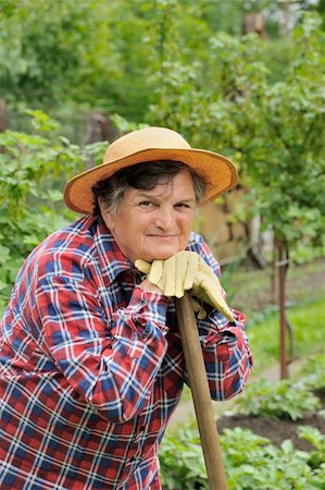 Senior woman gardening Stock Photo - Budget Royalty-Free & Subscription, Code: 400-04660066