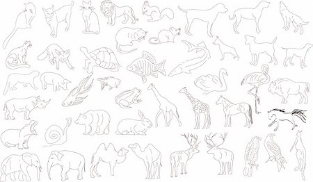 simsearch:400-04280168,k - Set of vector animals, rough outlines Stock Photo - Budget Royalty-Free & Subscription, Code: 400-04663616