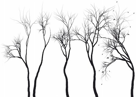 simsearch:400-08791935,k - set of detailed tree silhouettes, vector Foto de stock - Super Valor sin royalties y Suscripción, Código: 400-04677320