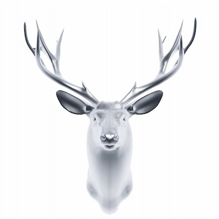 deer hunt - silver deer head isolated on white background Stock Photo - Budget Royalty-Free & Subscription, Code: 400-04677635
