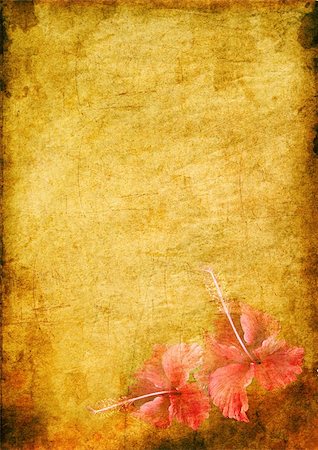 painterly - vintage background image with interesting texture, a tropical flowers hibiskus and plenty of space for text Foto de stock - Super Valor sin royalties y Suscripción, Código: 400-04679763