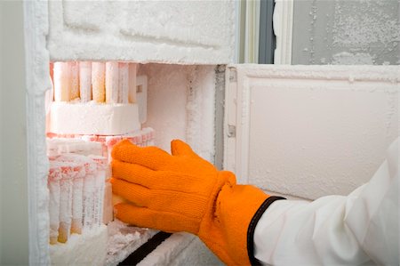freezer - Cropped image of an adult researcher retrieving medical samples from a freezer. Only the hand and arm are visible. Horizontally framed shot. Stock Photo - Budget Royalty-Free & Subscription, Code: 400-04671951