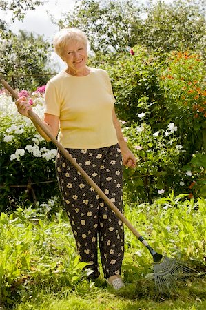 Smiling senior woman with rake in the garden Stock Photo - Budget Royalty-Free & Subscription, Code: 400-04672560