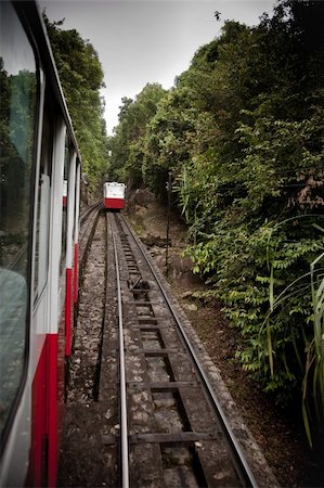 View from the mountain tram on the jungle. Penang collection. Stock Photo - Budget Royalty-Free & Subscription, Code: 400-04672821