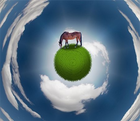 simsearch:400-05126647,k - Horse on Grassy Sphere Stock Photo - Budget Royalty-Free & Subscription, Code: 400-04673311