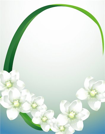 simsearch:400-06080543,k - white orchid with green leaf on the blue background Stock Photo - Budget Royalty-Free & Subscription, Code: 400-04684722