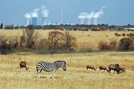 Coal Powerstation in Africa with wildlife in the area Photographie de stock - Aubaine LD & Abonnement, Code: 400-04686480