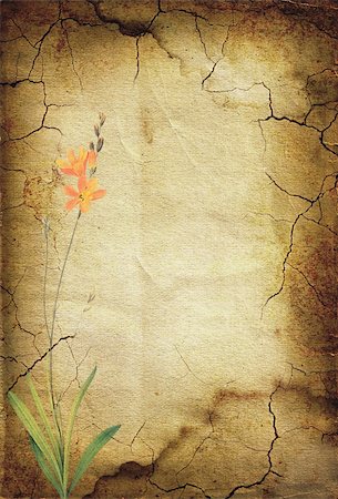painterly - vintage background image with interesting texture and flowers. Stock Photo - Budget Royalty-Free & Subscription, Code: 400-04680539