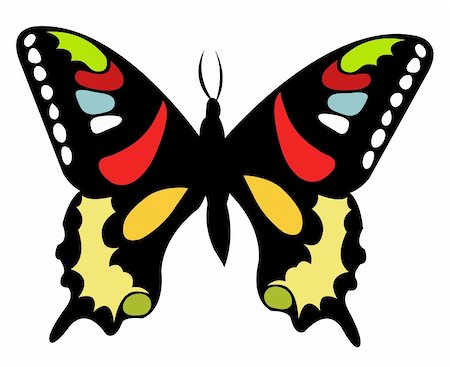 simsearch:400-06912266,k - drawing of beautiful butterfly in a white background Stock Photo - Budget Royalty-Free & Subscription, Code: 400-04680740