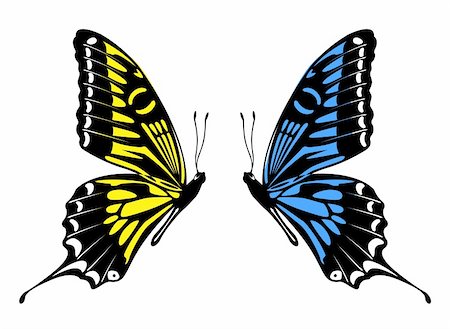simsearch:400-06912266,k - drawing of butterfly in a white background Stock Photo - Budget Royalty-Free & Subscription, Code: 400-04682182