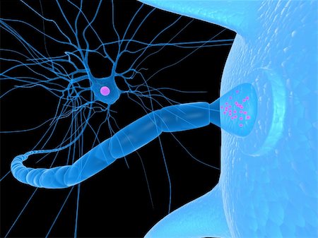 3d rendered close up of receptor and nerve cell Stock Photo - Budget Royalty-Free & Subscription, Code: 400-04683343