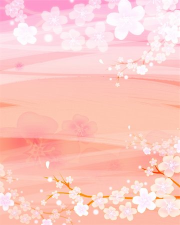A bright sakura flower in pink background Stock Photo - Budget Royalty-Free & Subscription, Code: 400-04683625