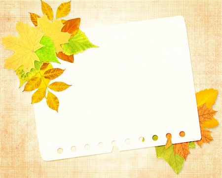 simsearch:400-04544818,k - Background - paper sheet and autumn leafs Photographie de stock - Aubaine LD & Abonnement, Code: 400-04698511