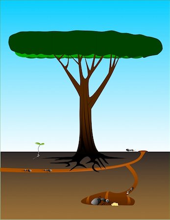 Cutaway view of ant colony near an old tree and seedling. EPS contains various elements in their own layers. Stock Photo - Budget Royalty-Free & Subscription, Code: 400-04698521