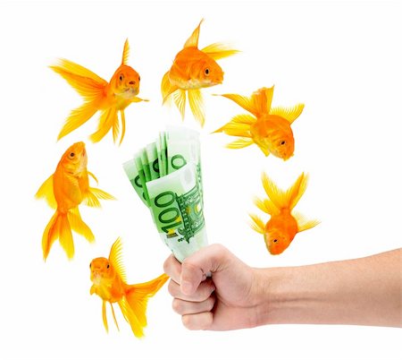 simsearch:400-04011910,k - Goldfish with money on a white background Stock Photo - Budget Royalty-Free & Subscription, Code: 400-04699780