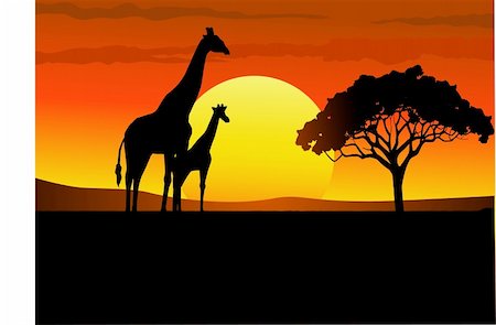 simsearch:400-04836462,k - Vector safari Africa sunset Foto de stock - Super Valor sin royalties y Suscripción, Código: 400-04691367