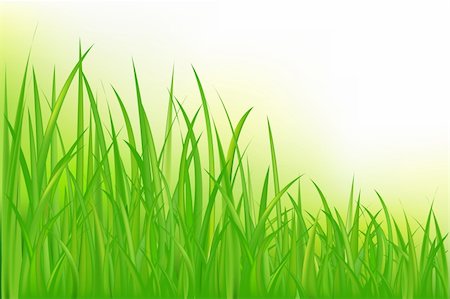foliage drawing - Green Grass Stock Photo - Budget Royalty-Free & Subscription, Code: 400-04692120