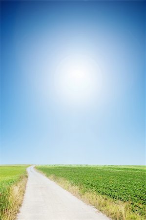 road to paradise - country road with cloudless sunny sky Stock Photo - Budget Royalty-Free & Subscription, Code: 400-04705936