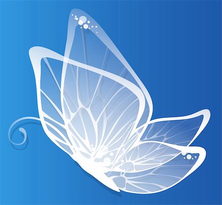 simsearch:400-06912266,k - drawing of beautiful white butterfly in a blue background Stock Photo - Budget Royalty-Free & Subscription, Code: 400-04702761