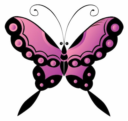 simsearch:400-06912266,k - illustration drawing of beautiful butterfly in a white background Stock Photo - Budget Royalty-Free & Subscription, Code: 400-04702770