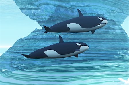 Two killer whales swim around submerged icebergs. Stock Photo - Budget Royalty-Free & Subscription, Code: 400-04703189