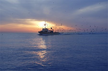 simsearch:400-05896461,k - professional fishing boat and seagull turn back port on sunset sunrise Stock Photo - Budget Royalty-Free & Subscription, Code: 400-04715179