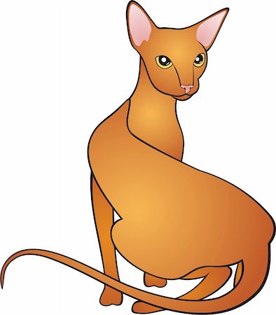 egyptian sphynx cat - The cat has curved a back. A vector illustration Stock Photo - Budget Royalty-Free & Subscription, Code: 400-04715858