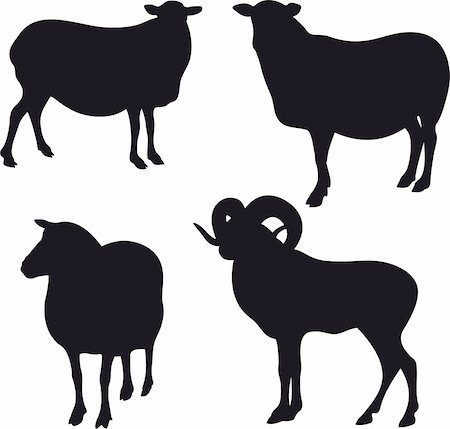 ram animal side view - Vector Illustration of Sheep isolated on white background Stock Photo - Budget Royalty-Free & Subscription, Code: 400-04716057