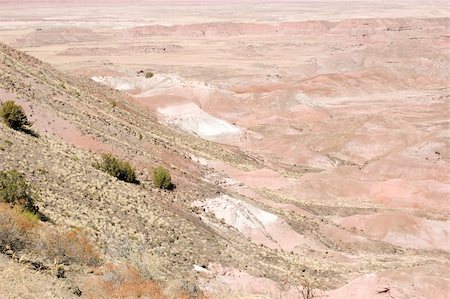 petrified (fossilized) - Petrified Landscape Stock Photo - Budget Royalty-Free & Subscription, Code: 400-04716372