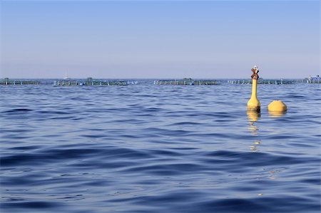 fish farm on blue ocean sea horizon pisciculture Foto de stock - Super Valor sin royalties y Suscripción, Código: 400-04718048