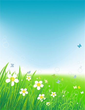 simsearch:400-04597010,k - Green field with butterflies, summer background Stock Photo - Budget Royalty-Free & Subscription, Code: 400-04712330