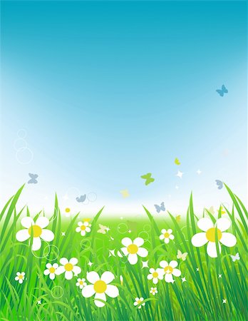 simsearch:400-04597010,k - Green field with butterflies, summer background Stock Photo - Budget Royalty-Free & Subscription, Code: 400-04712331