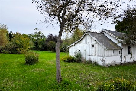 simsearch:400-04909150,k - nice green garden, white wooden cottage - beautiful place Stock Photo - Budget Royalty-Free & Subscription, Code: 400-04728594