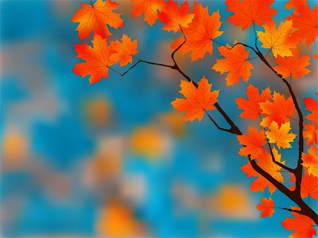simsearch:400-05256623,k - Beautiful Autumn Background. EPS 8 vector file included Photographie de stock - Aubaine LD & Abonnement, Code: 400-04729498