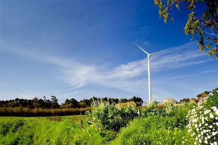 simsearch:400-05319608,k - Wind turbine on a beautiful green meadow, energy concept Stock Photo - Budget Royalty-Free & Subscription, Code: 400-04721564