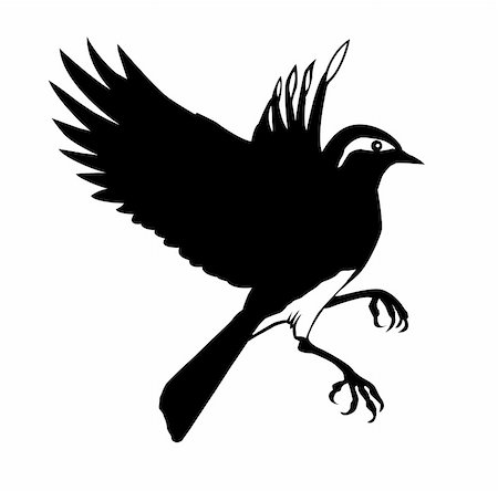 sparrow tattoo designs - vector silhouette of the small bird on white background Stock Photo - Budget Royalty-Free & Subscription, Code: 400-04734965