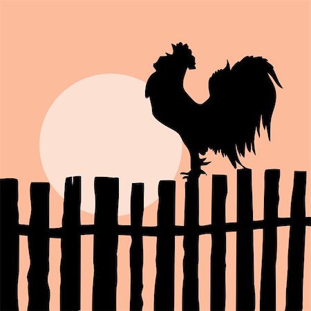 fence painting - silhouette of the cock on old fence Stock Photo - Budget Royalty-Free & Subscription, Code: 400-04735913