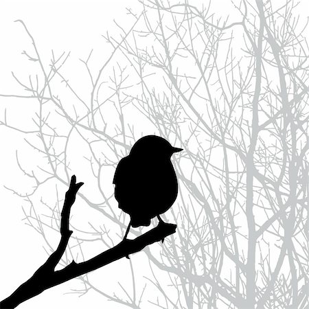 sparrow tattoo designs - silhouette of the bird on branch Stock Photo - Budget Royalty-Free & Subscription, Code: 400-04735920